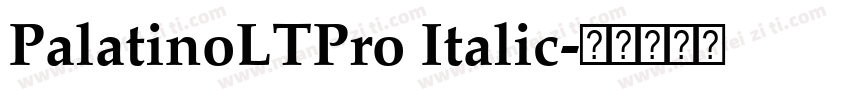 PalatinoLTPro Italic字体转换